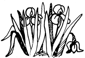 Климко (збірка)