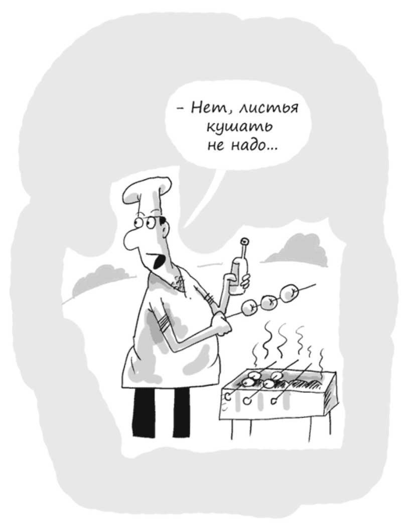 Идея на миллион: 100 способов начать свое дело