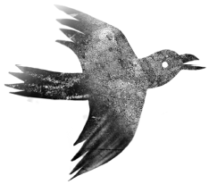Следы (сборник)