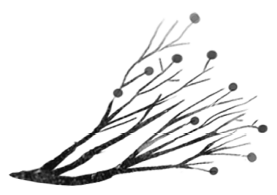 Следы (сборник)