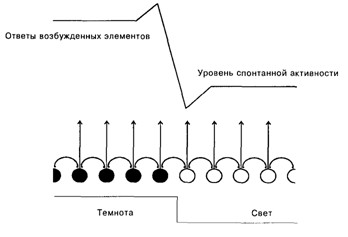 Основы психофизиологии