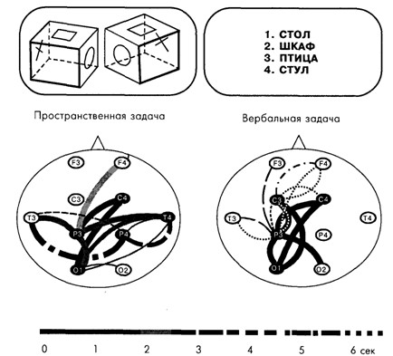 Основы психофизиологии