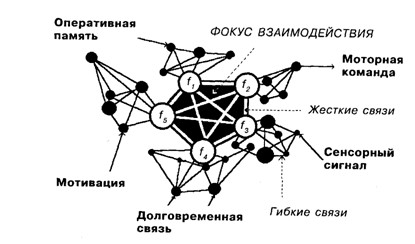 Основы психофизиологии