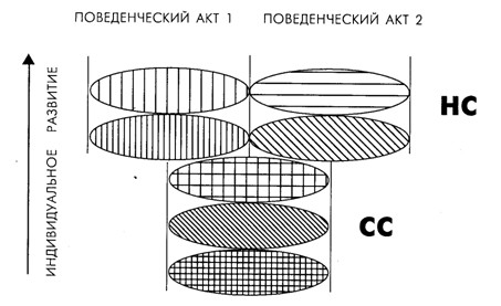 Основы психофизиологии