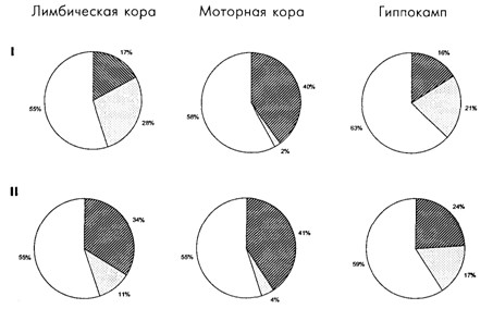 Основы психофизиологии