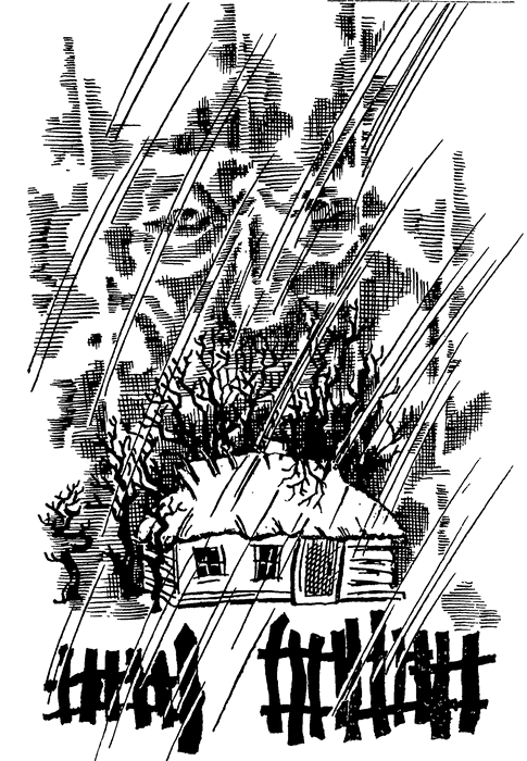 Гірчичне зерно