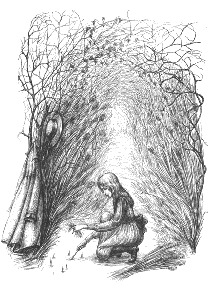 Таємний сад