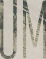 Ad libitum