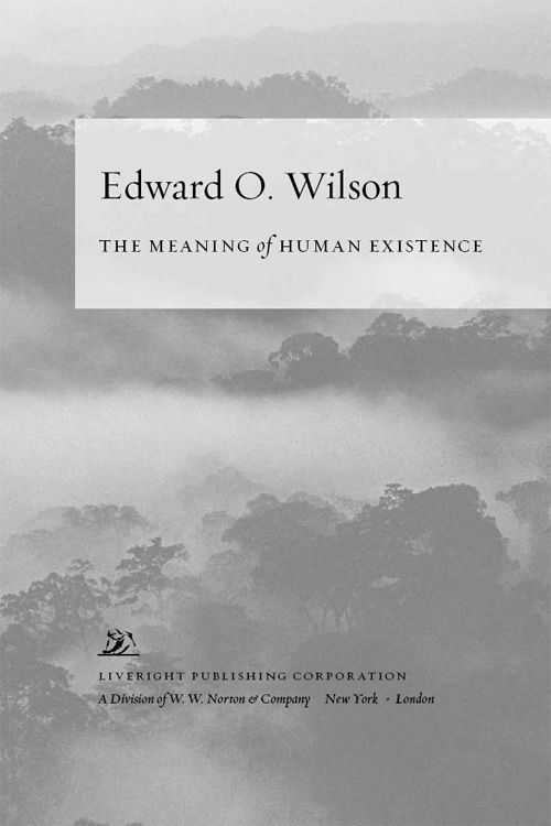 The Meaning of Human Existence