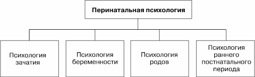 Перинатальная психология