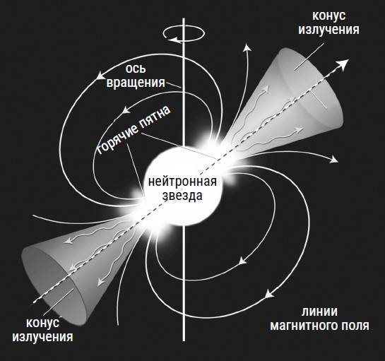 Был ли Бог математиком? Галопом по божественной Вселенной с калькулятором, штангенциркулем и таблицами Брадиса