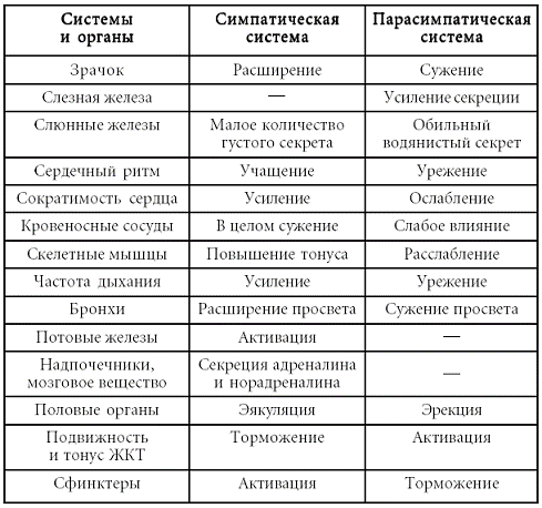 Психосоматика. Психотерапевтический подход