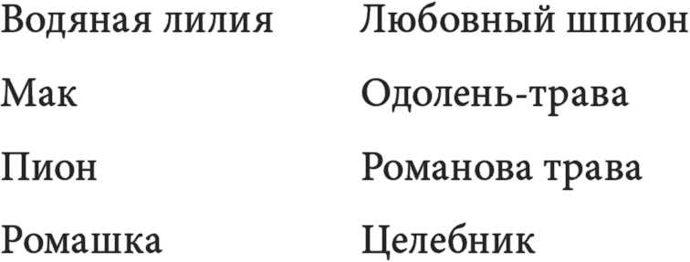 Таинственные страницы. Занимательная криптография