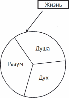 Весь «опыт дурака» в одной книге