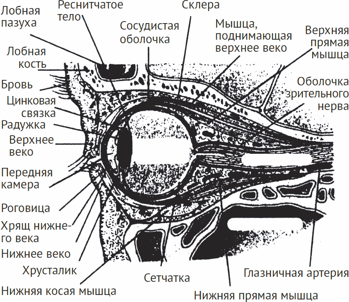 Весь «опыт дурака» в одной книге