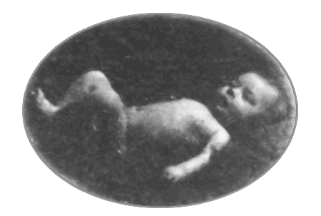 Дэнни - чемпион мира