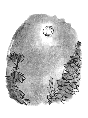 Дэнни - чемпион мира