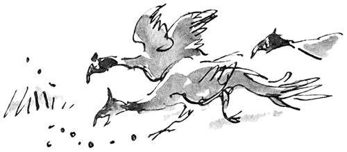 Дэнни - чемпион мира