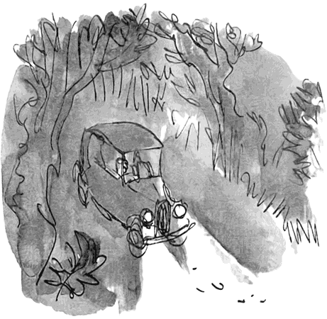 Дэнни - чемпион мира