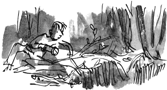 Дэнни - чемпион мира