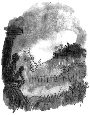 Дэнни - чемпион мира