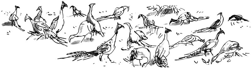 Дэнни - чемпион мира