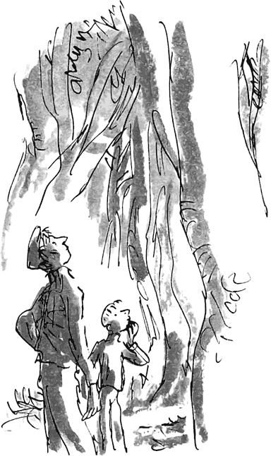 Дэнни - чемпион мира