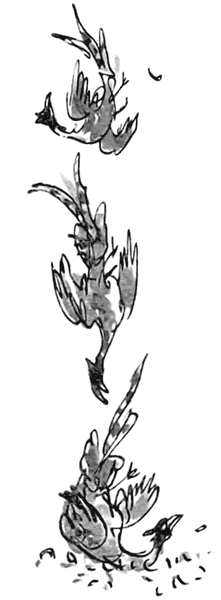 Дэнни - чемпион мира