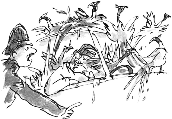 Дэнни - чемпион мира