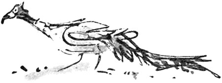 Дэнни - чемпион мира
