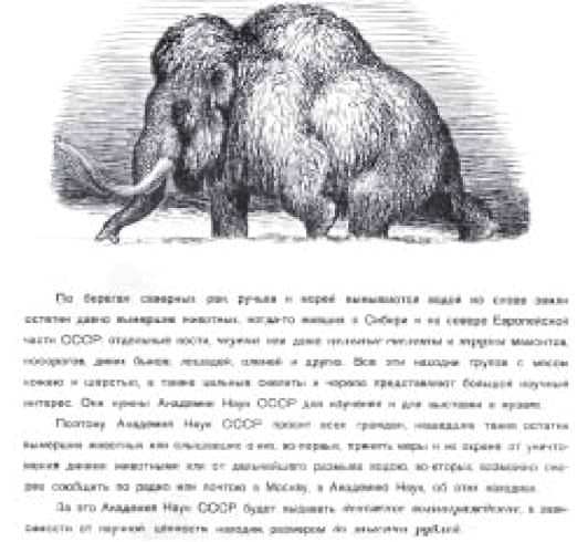 Мамонт