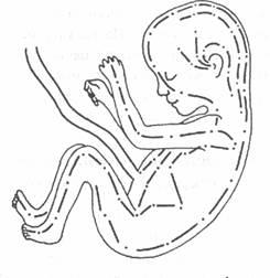 Исцеление Космосом-II. Даосская космология и вселенские исцеляющие связи