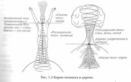 Исцеление Космосом-II. Даосская космология и вселенские исцеляющие связи