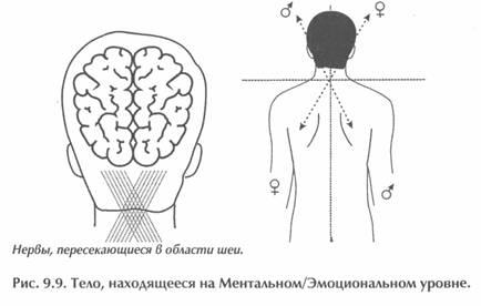 Исцеление Космосом-II. Даосская космология и вселенские исцеляющие связи