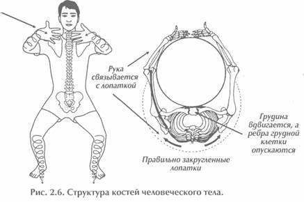 Исцеление Космосом-II. Даосская космология и вселенские исцеляющие связи