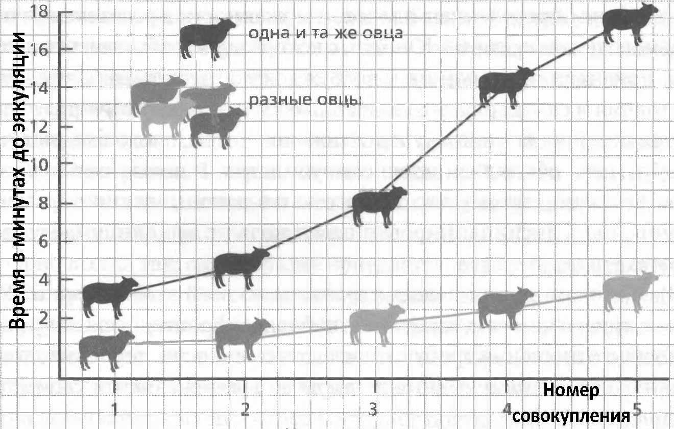 Голая Ханна Альстрем