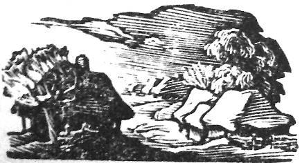 Стежками холодноярськими. Спогади 1918 – 1923 років