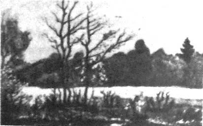 Стежками холодноярськими. Спогади 1918 – 1923 років