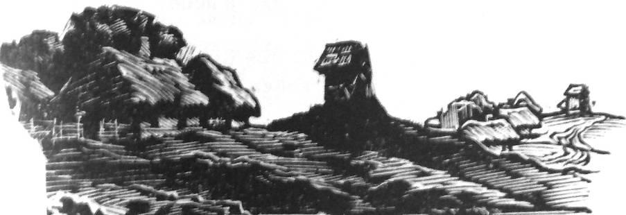 Стежками холодноярськими. Спогади 1918 – 1923 років