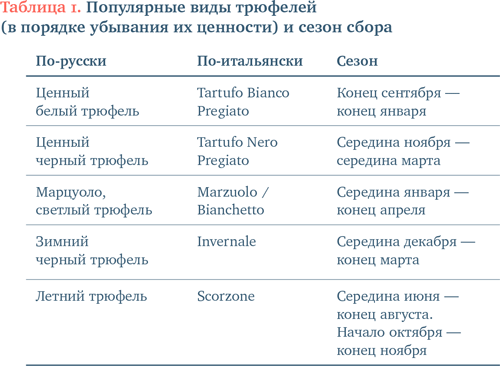 Еда без границ