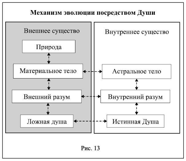 Интегральный взгляд на эволюцию человека