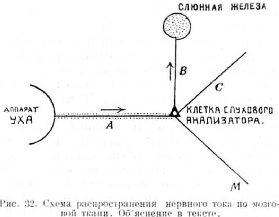 В тайниках тела. Приключения в микромире. Том VI
