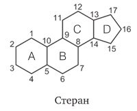 Удивительные истории о веществах самых разных