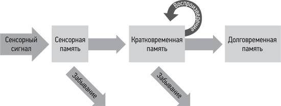Психология. Люди, концепции, эксперименты