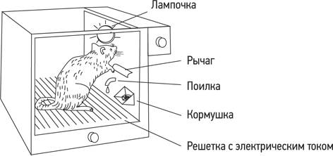 Психология. Люди, концепции, эксперименты