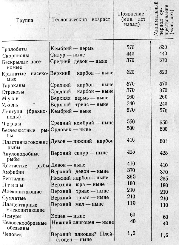 Занимательно о геологии