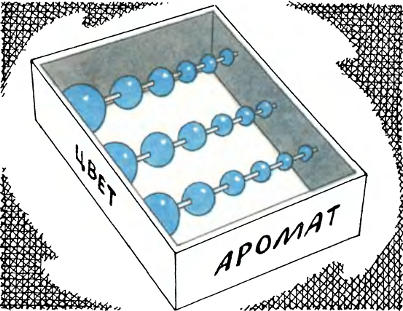 Вселенная в электроне
