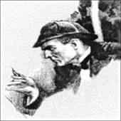 Химические приключения Шерлока Холмса
