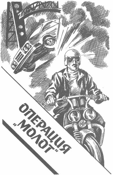Операция «Молот». Операция «Гадюка-3»