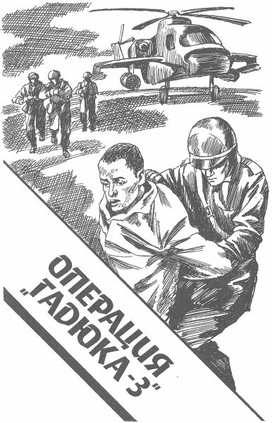Операция «Молот». Операция «Гадюка-3»